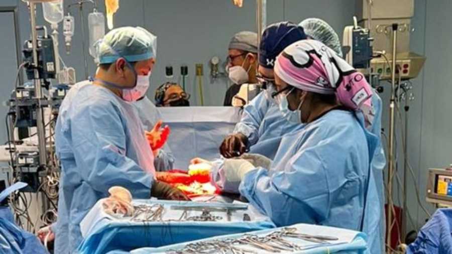 organos transplantados en issste