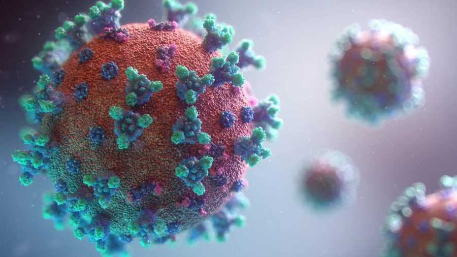 virus del covid19
