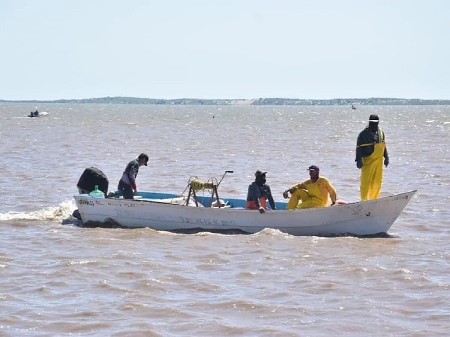 Ataques de Tiburones en Sonora Dejan 3 Pescadores Muertos-min(1)