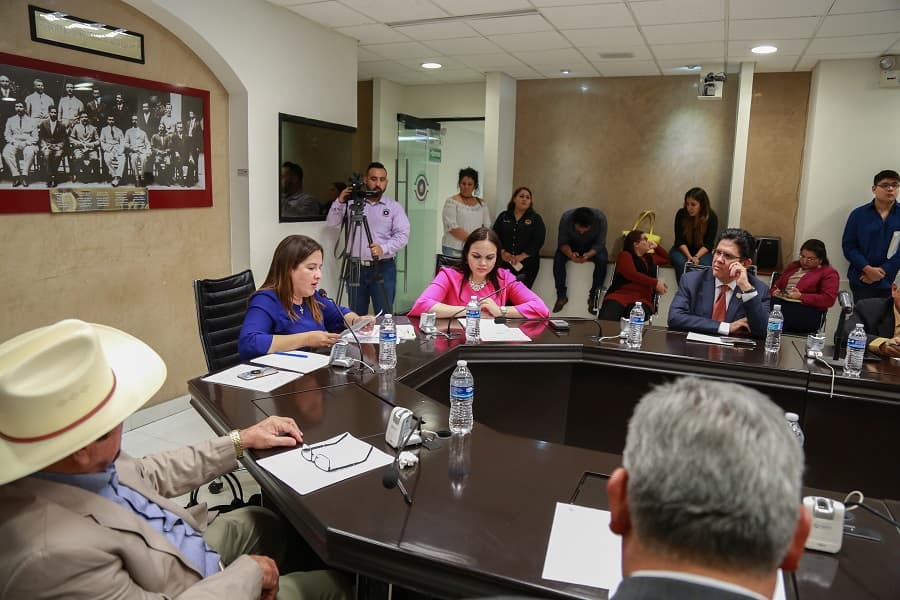 Sonoraenequipo.comisiones del congreso-min