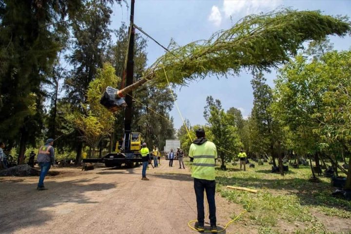 impiden construcción de cuartel de la GN en un vivero-min