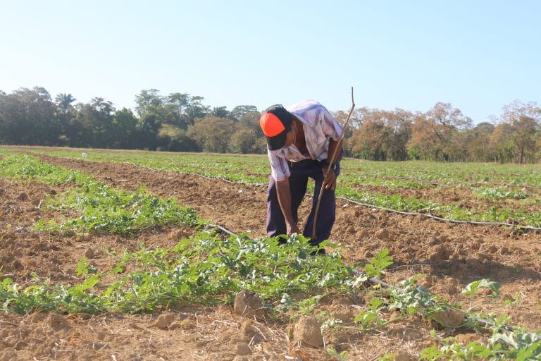 4.9 millones de personas sufren “inseguridad alimentaria en Honduras-min