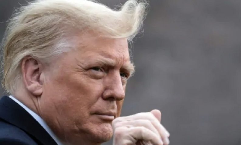 el regreso de trumpo xlas redes...-min