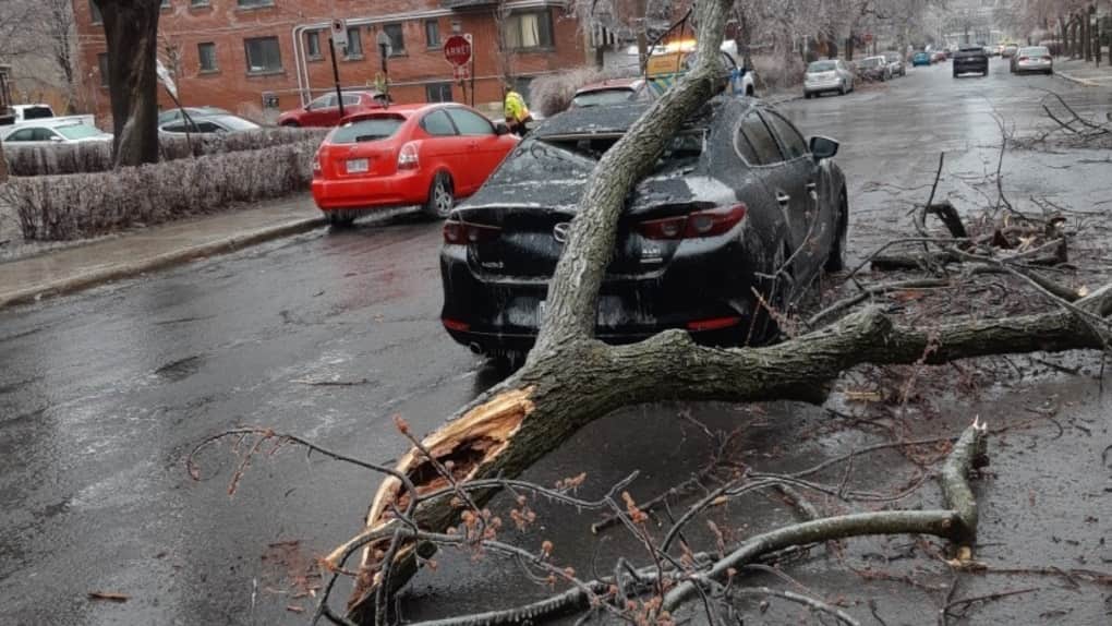 Canadá tras tormenta de hielo..-min (1)