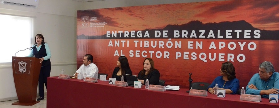 brazaletes antitiburón B..-min