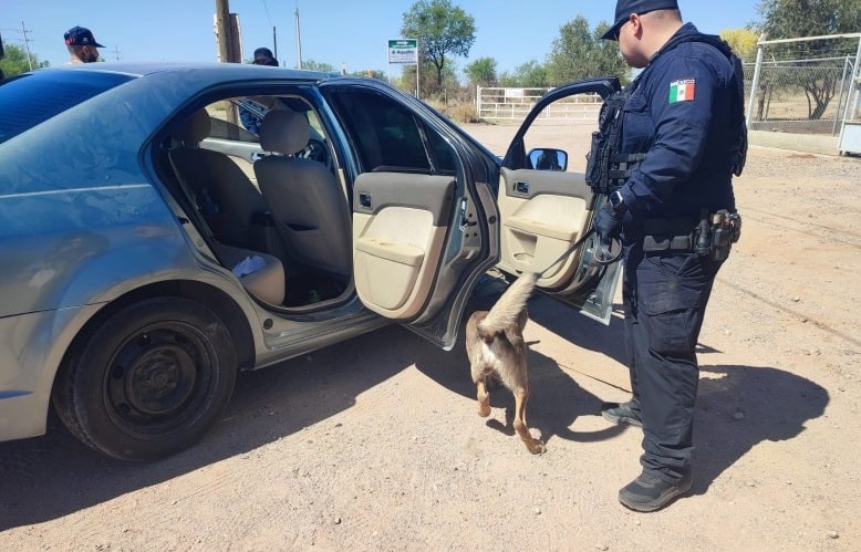 operativos-de-la-policia-estatal-min