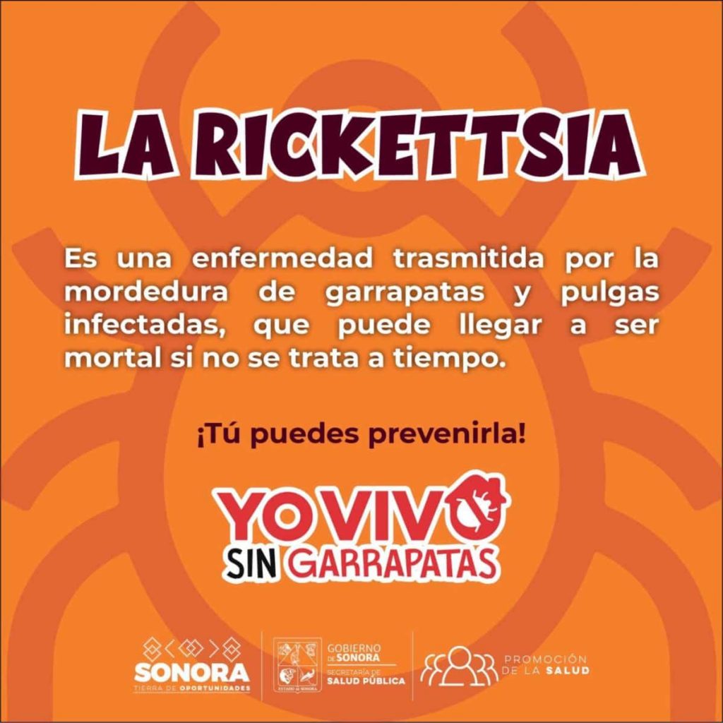 riketsia-min