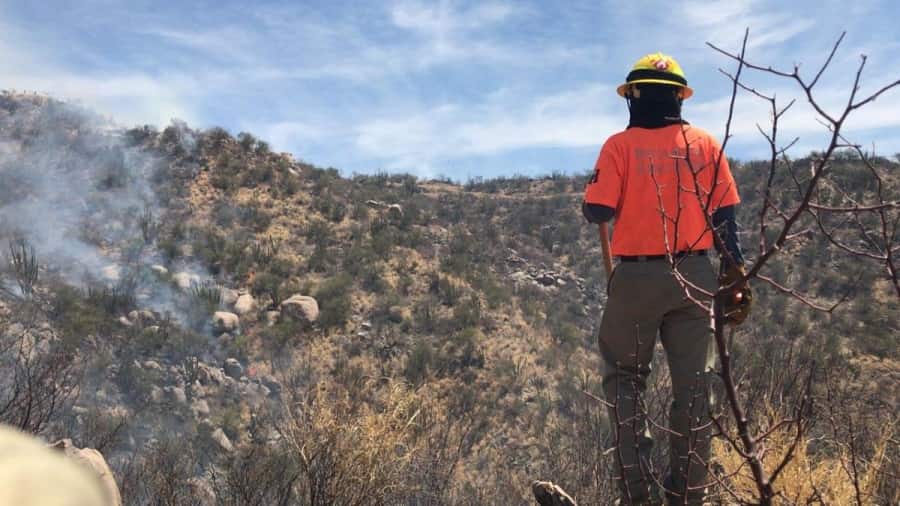 Urge reforzar prevención de incendios forestales...-min