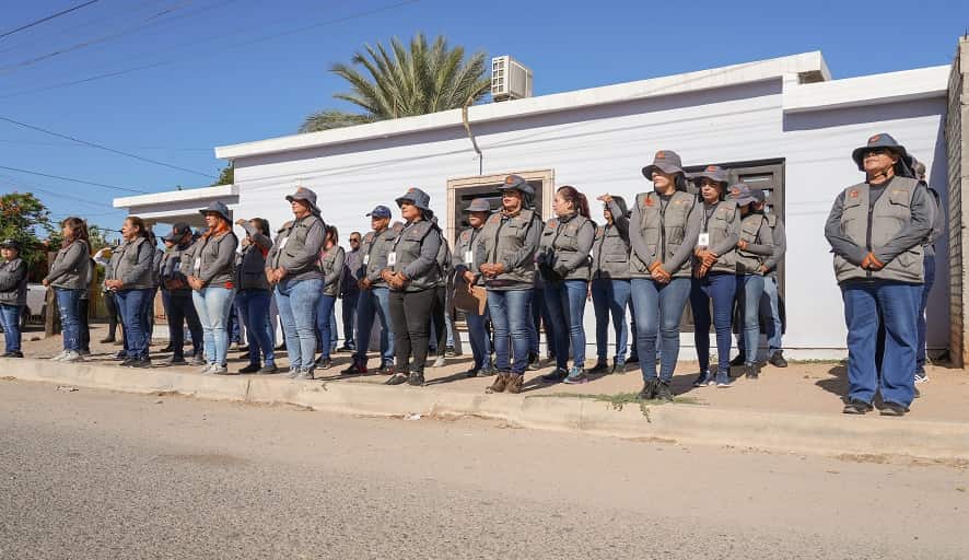 ejercito humano para combate del dengue..-min