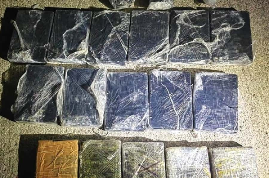 fentanilo ocultos en cajas de huevo..-min