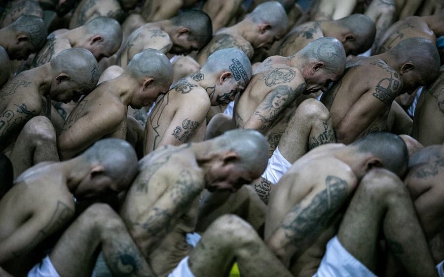 pandilleros-salvador-tratados como animales-min