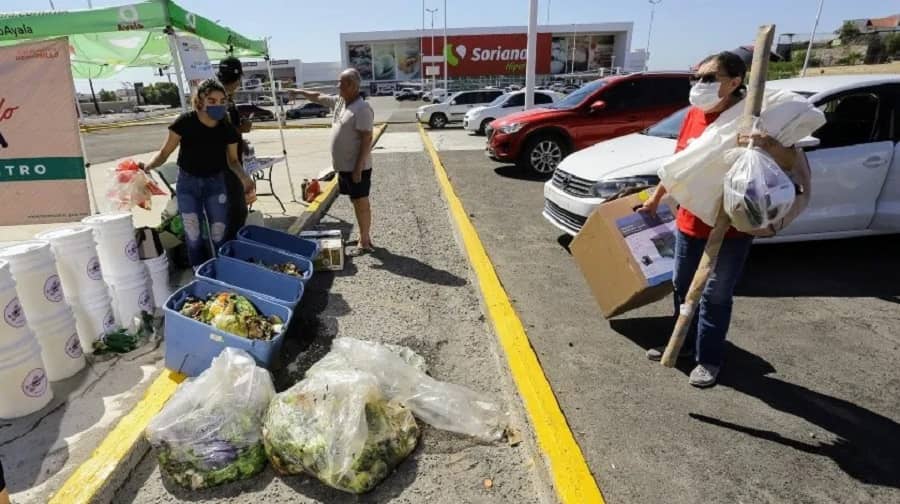 plastico por palo verde..-min