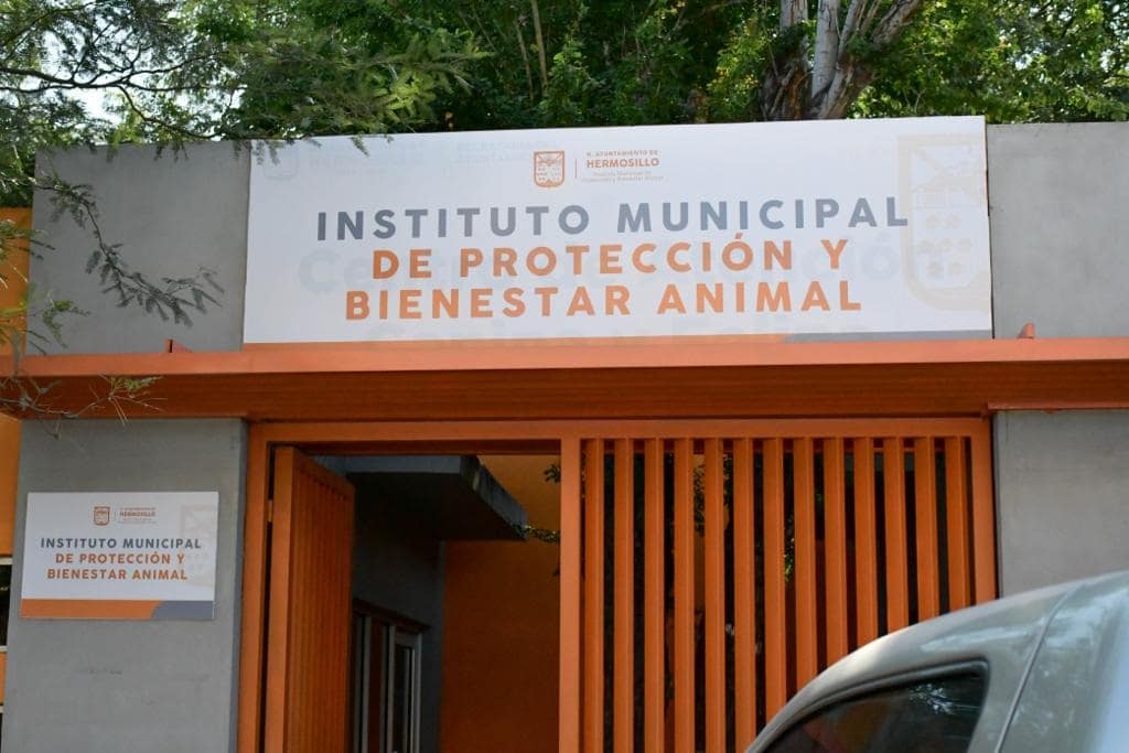 Firman convenio para fomentar el cuidado de las mascotas...-min