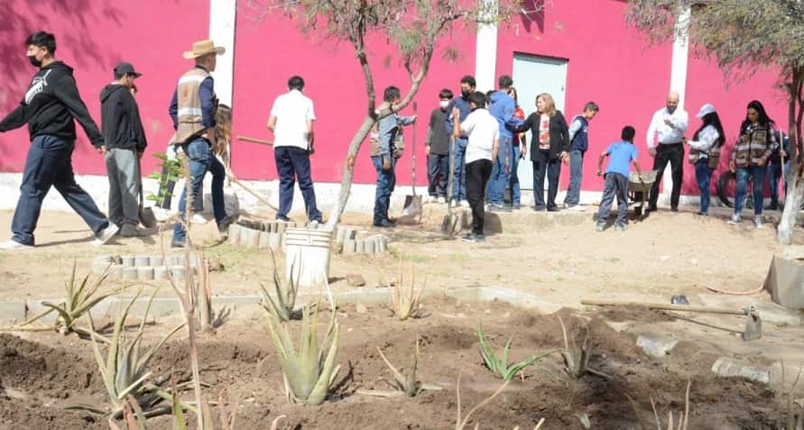 Secretaría de Agricultura de Sonora creación de huertos urbanos2c-min