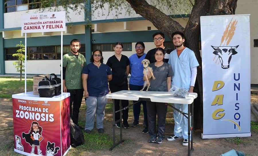 vacunación canina ...-min