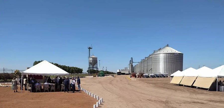 granos a la baja..-min