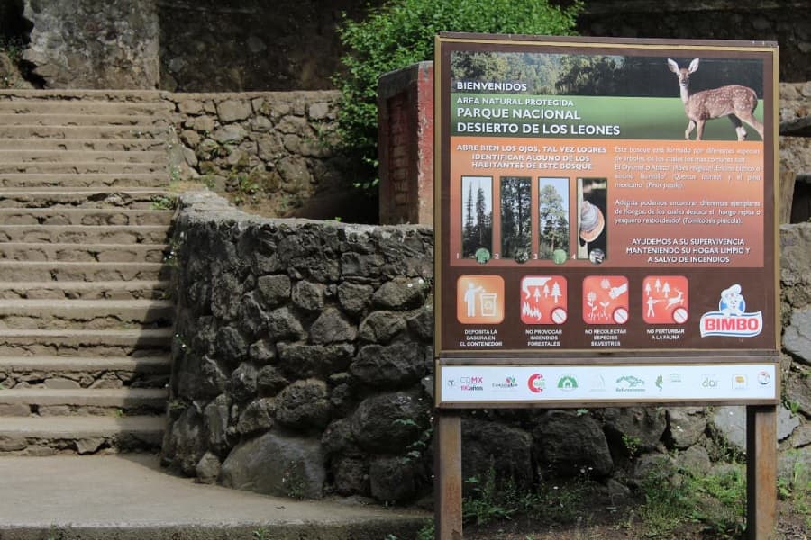 Parque Nacional Desierto de los Leones2...-min (1)