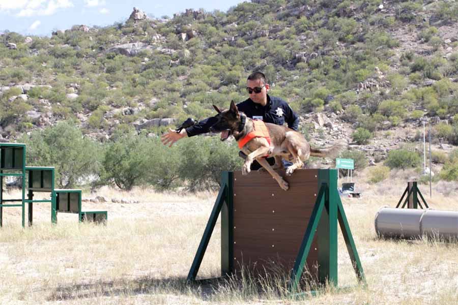 K9