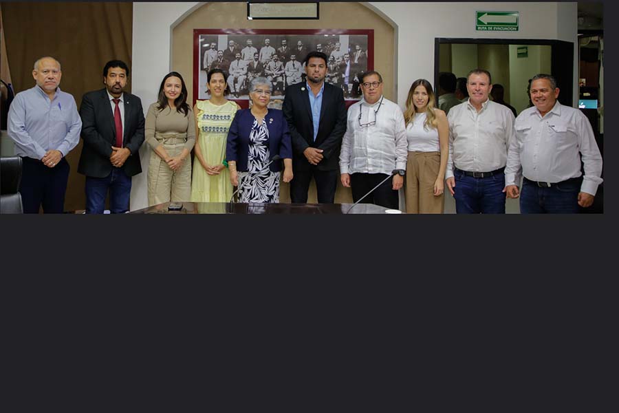servicio civil