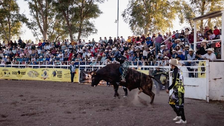 Circuito de Rodeo Tour Sonora 2023 en Banámichi..-min