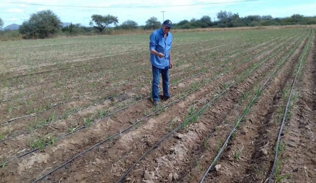 agronomia...-min