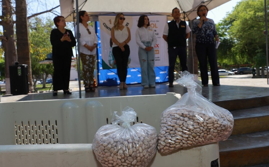 campaña contra el hambre...-min