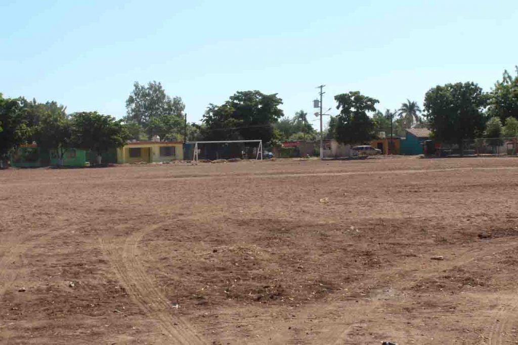 campo