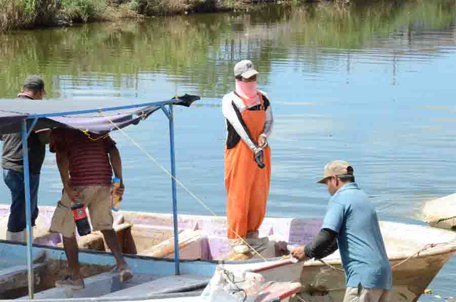 pescadores