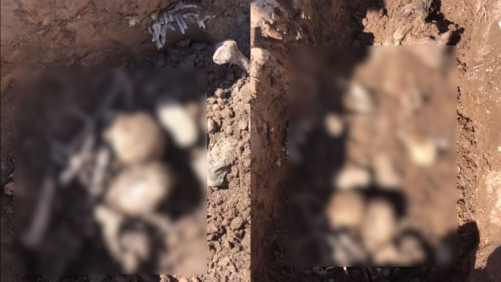 Fosa-Clandestina-Hermosillo Sonora-min