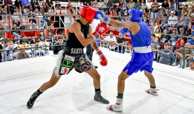 Premia IDH a campeonas y campeones del Torneo de Box de los Barrios (4)...-min