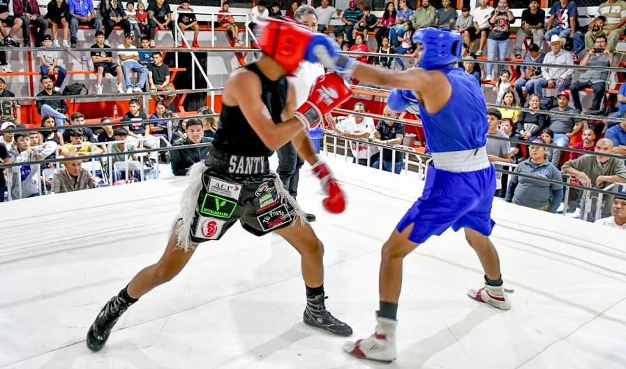 Premia IDH a campeonas y campeones del Torneo de Box de los Barrios (4)...-min