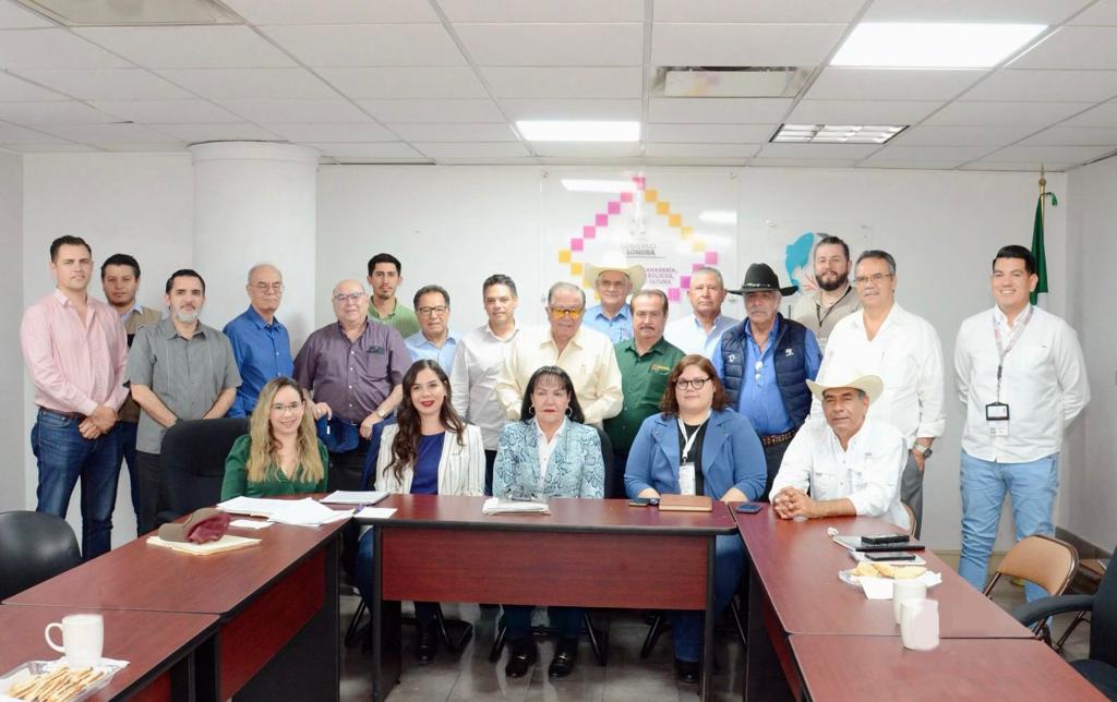 reunión de trabajo vs gripe aviar-min (1)