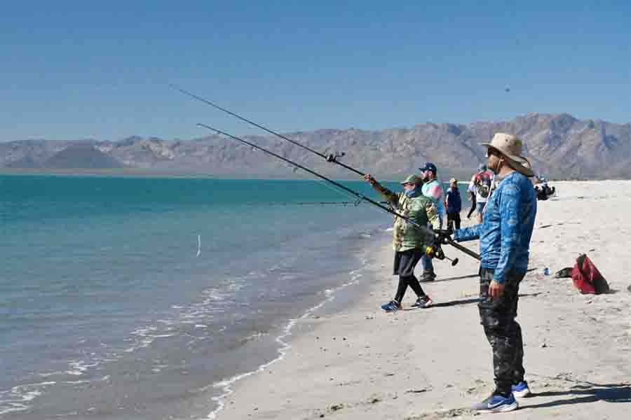 torneo pesca,curvina