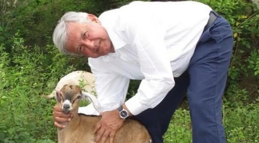 AMLO anuncia iniciativa vs maltrato animal-min