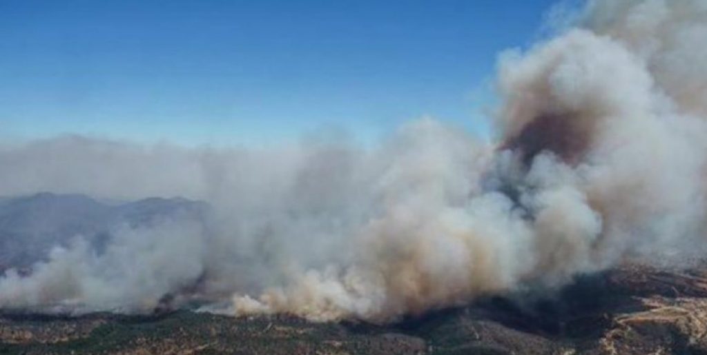 incendios en chile-min