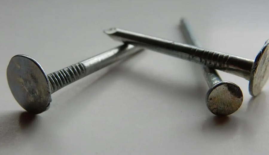 Clavos chinos-min
