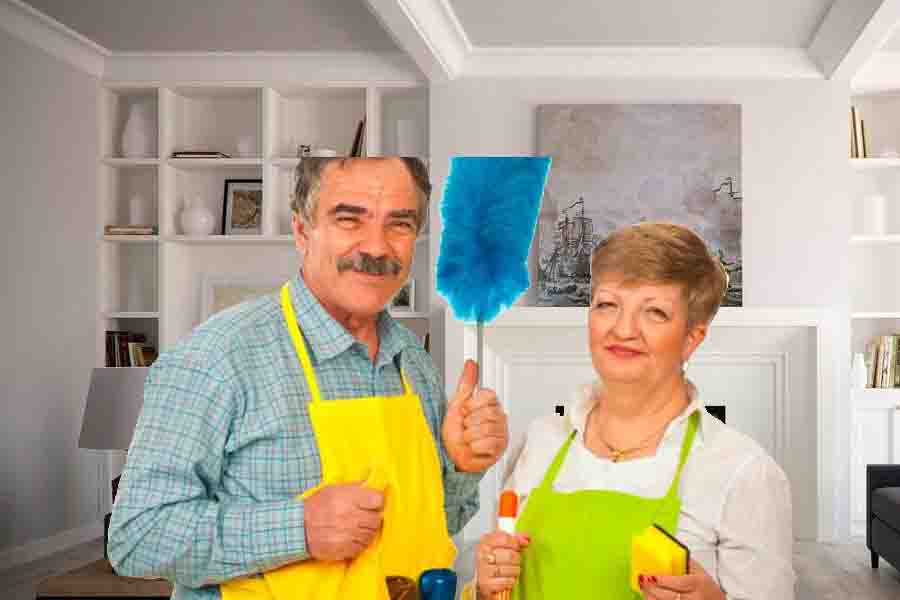 empleo domestico