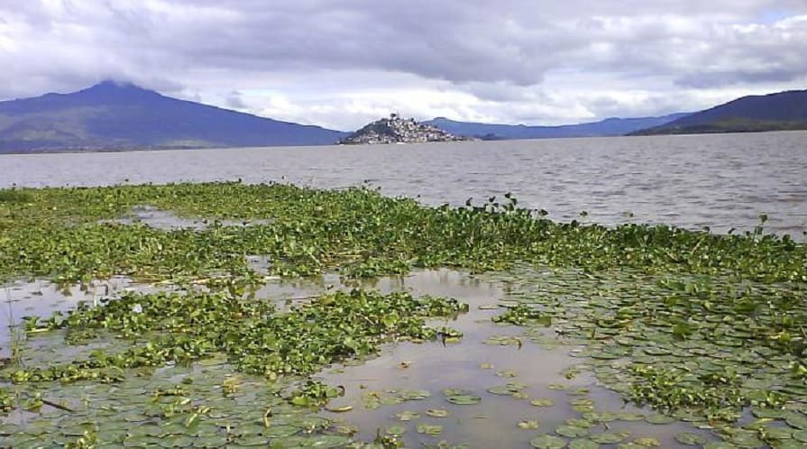 lago de Pazcuaro-min