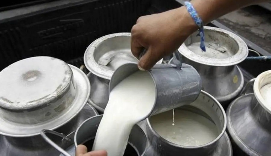 leche bronca-min