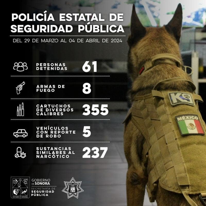 Policía Estatal-min