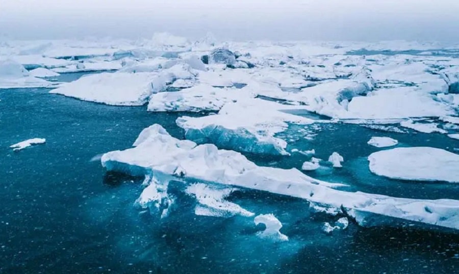 hielo marino-min