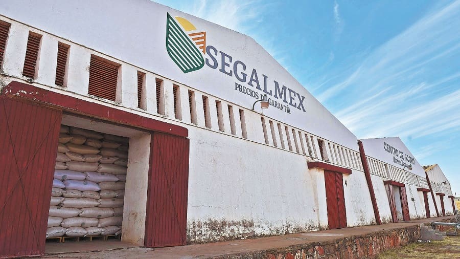 segalmex-min