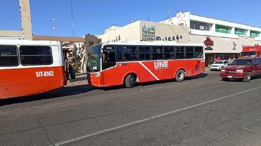 transporte publico gratuito x fiestas del pitic-min