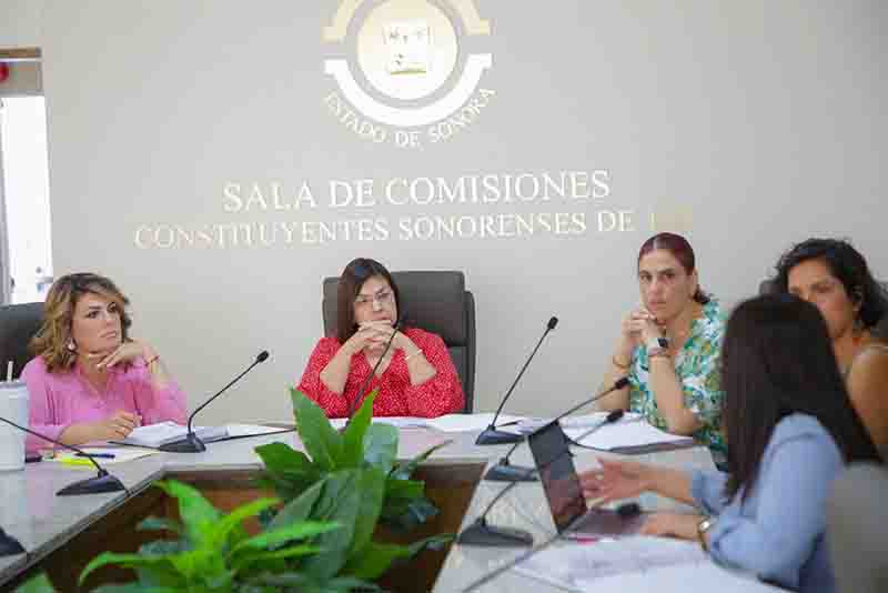 comision igualdad de genero