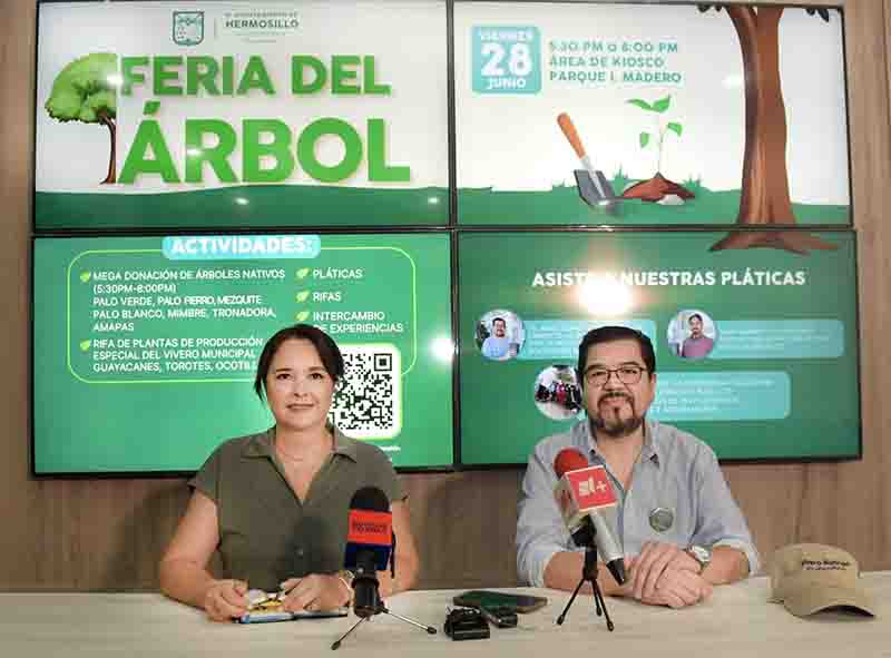 feria arbol