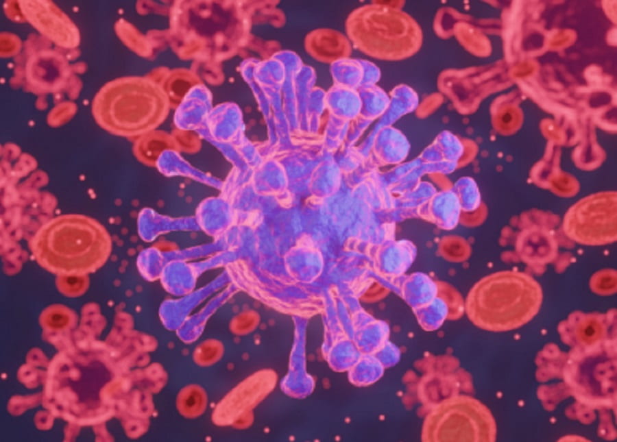 influenza y gripe aviar-min
