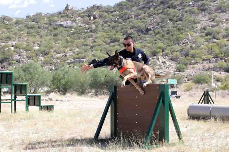k9