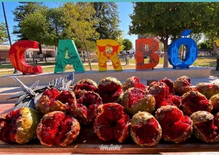 carbo.fiesta de la pitaya-min