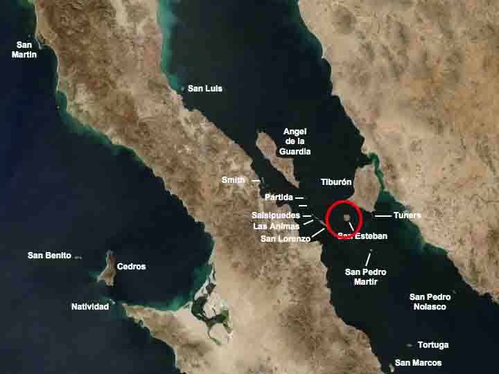 isla san esteban