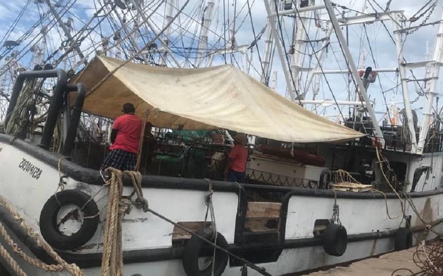 pesca-de-camarón-jpg-min